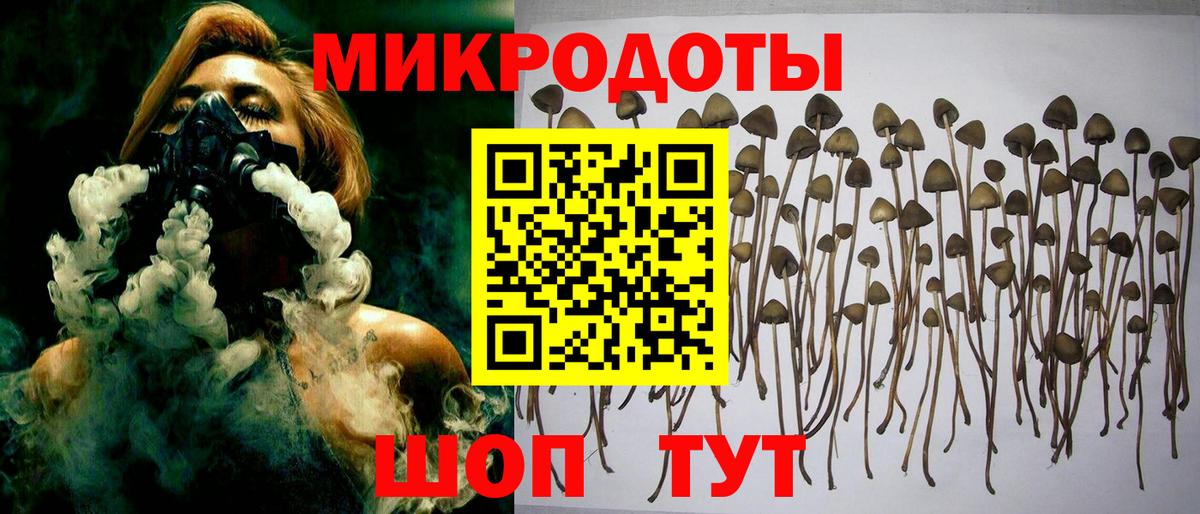 Можайск  Галлюциногенные грибы Psilocybe  Вход с VPN 